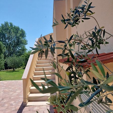 Novouredeni Apartman Marko Mundanije Buitenkant foto