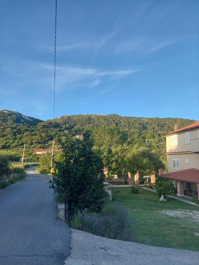 Novouredeni Apartman Marko Mundanije Buitenkant foto