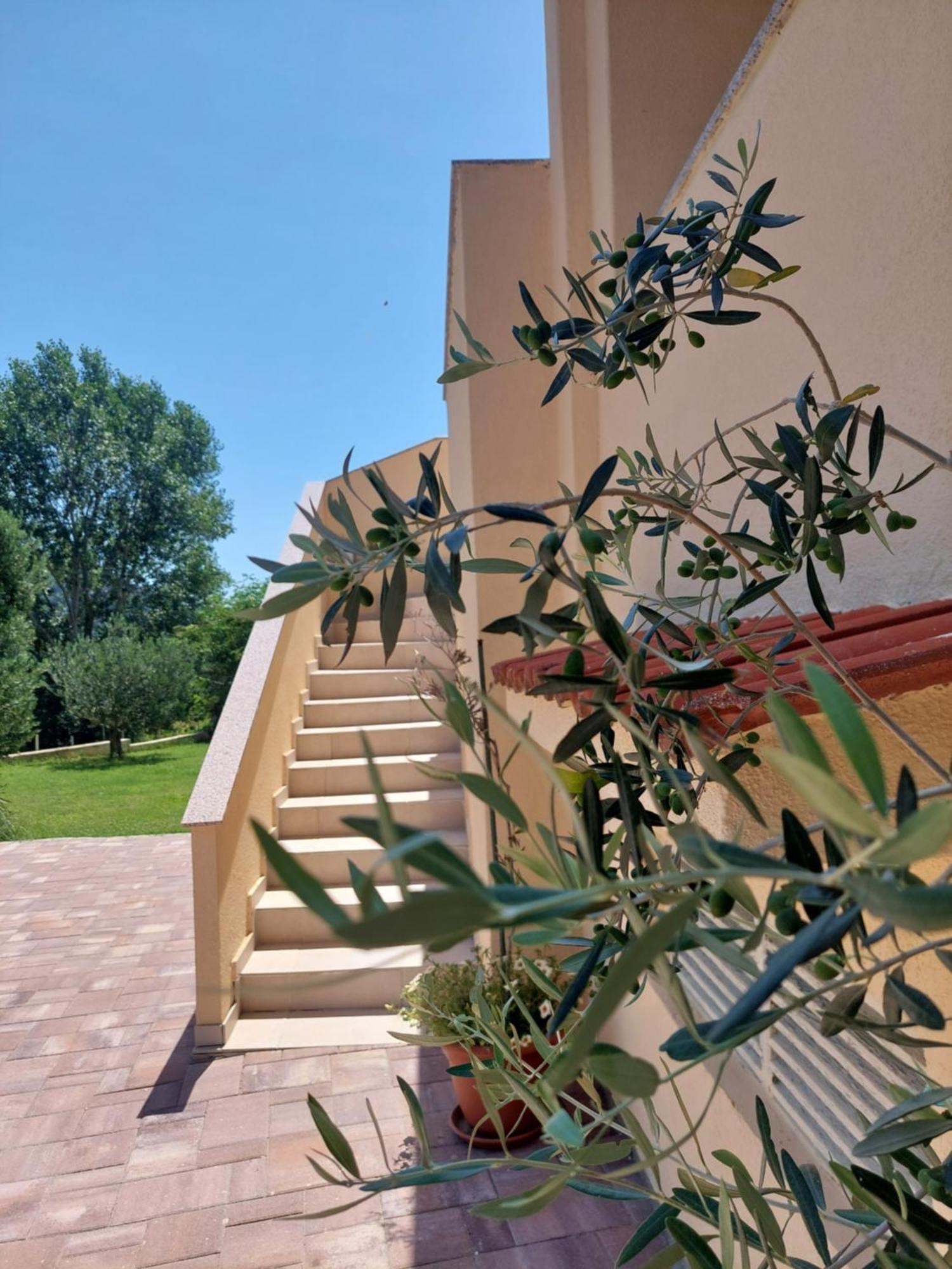 Novouredeni Apartman Marko Mundanije Buitenkant foto